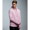 Sweat à capuche Anthem pour homme